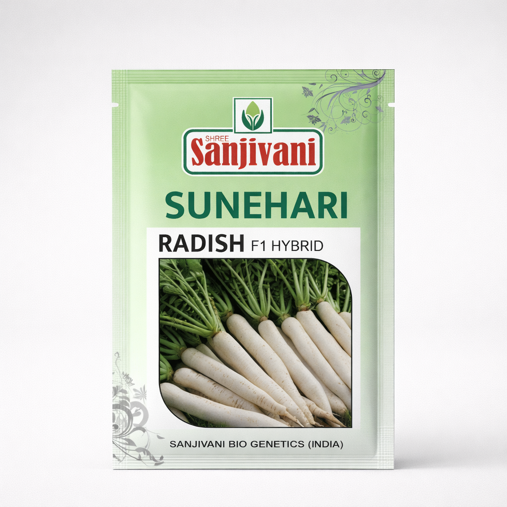 Sunehari F1 Hybrid Radish Seeds | High-Yield Vegetable Seeds  | 100gm Pack